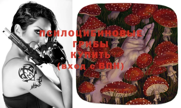 бошки Магас