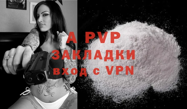бошки Магас